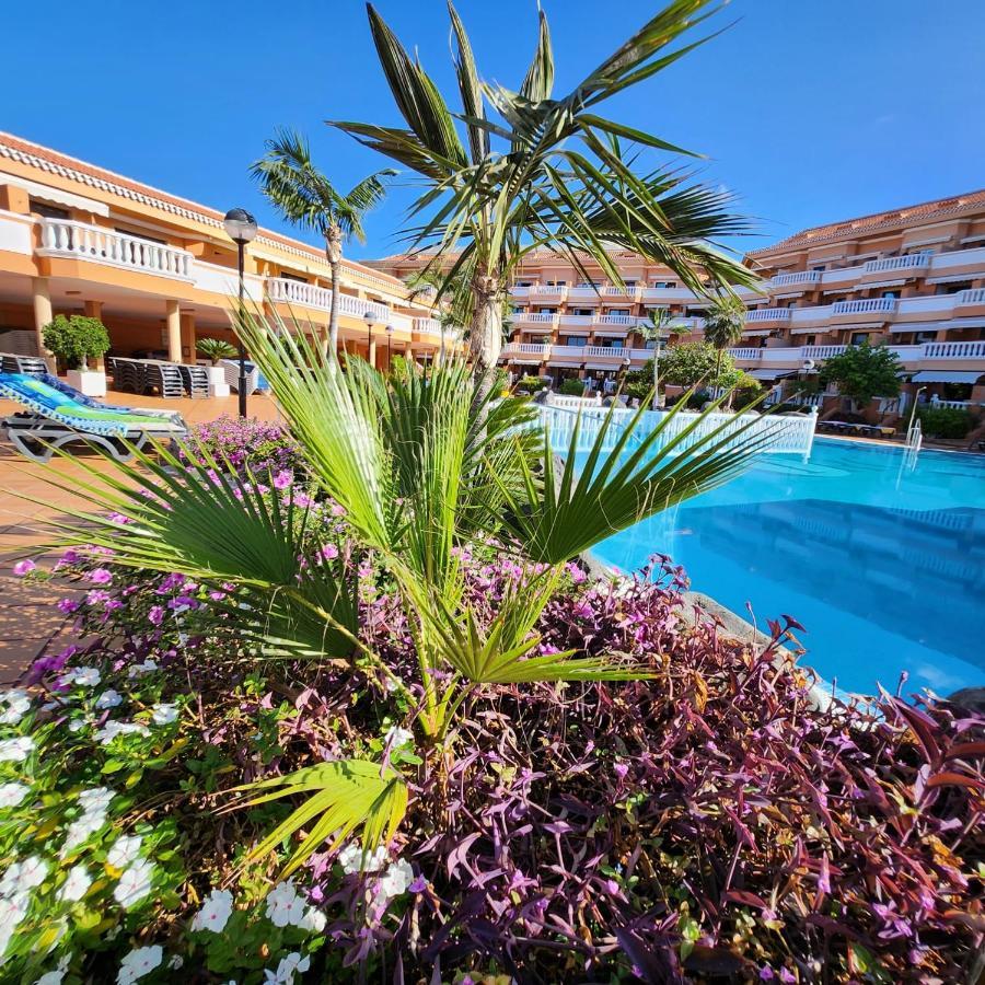 Tenerife Holidays Deluxe, Royal Garden, Las Americas Playa de las Americas  Exterior photo